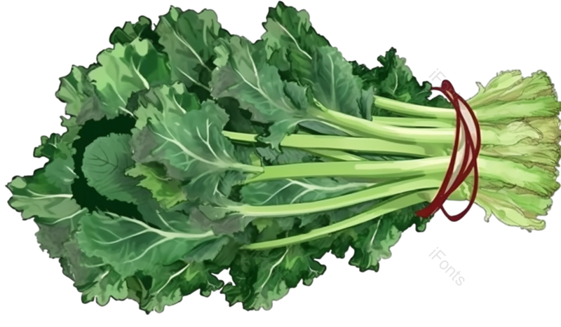 手绘素材图片,蔬菜元素,简约PNG,植物免抠素材